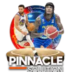 pinnacle_solutions