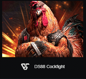 cock-fighting-ds88